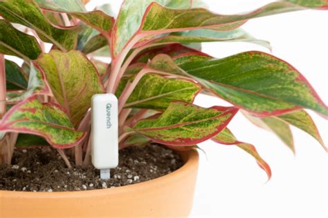 Canadian Tech Entrepreneur Invents Device to Save Plants